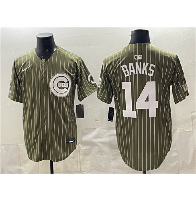 Men's Chicago Cubs #14 Ernie Banks Pinstripe Olive 2026 Armed Forces Day Salute To Service Stitched Baseball Jersey